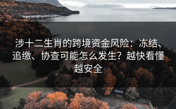 涉十二生肖的跨境资金风险：冻结、追缴、协查可能怎么发生？越快看懂越安全