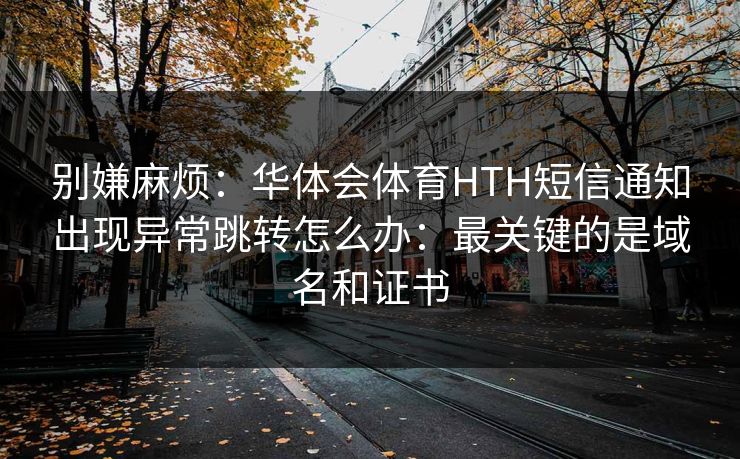 别嫌麻烦：华体会体育HTH短信通知出现异常跳转怎么办：最关键的是域名和证书