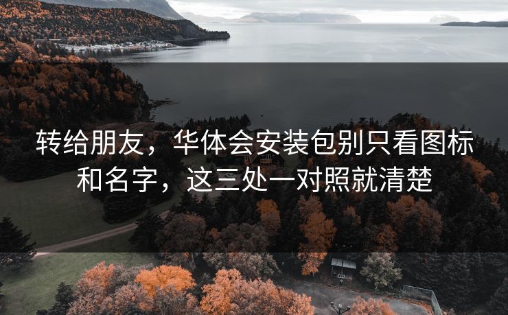 转给朋友，华体会安装包别只看图标和名字，这三处一对照就清楚